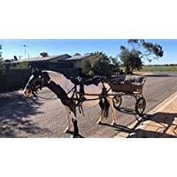 Equipride Heavy Duty Juego de arnés de Nailon para Caballo de único X Full a Mini Shetland